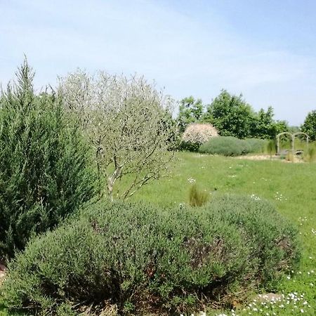 Le Grand Paradis Morannes sur Sarthe-Daumeray Exterior foto
